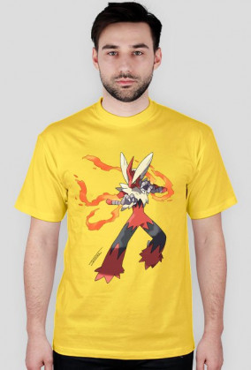 PokemonT-Shirt MegaBlaziken