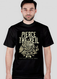 pierce the veil: eagle