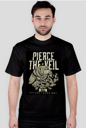 pierce the veil: eagle