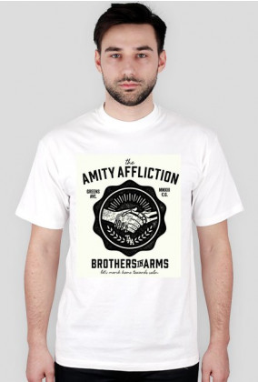 the amity affliction: brothers in arms