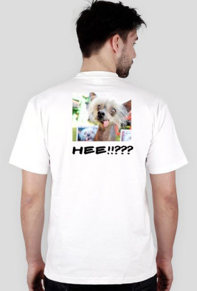 KOT VS PIES