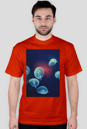 TSHIRT || Meduzy