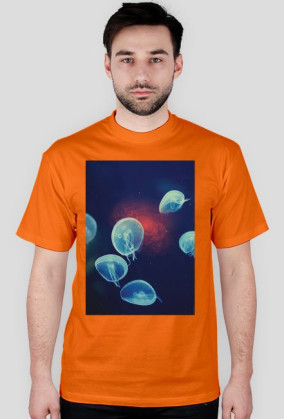 TSHIRT || Meduzy