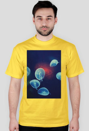 TSHIRT || Meduzy