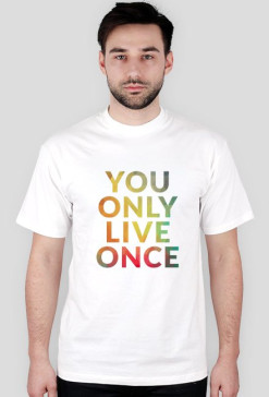 YOLO 1