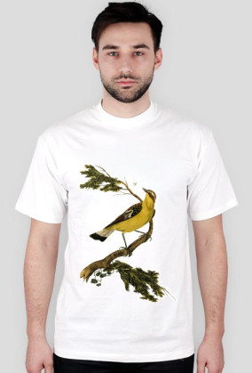 BirdOnBranch