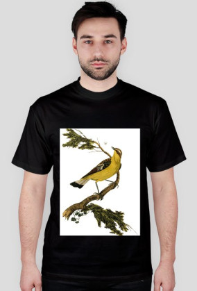 BirdOnBranch