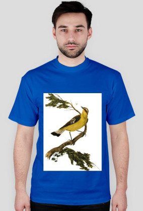 BirdOnBranch