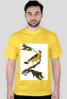 BirdOnBranch