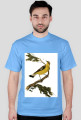 BirdOnBranch