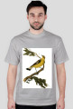 BirdOnBranch