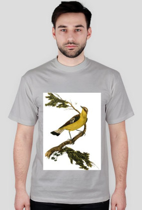 BirdOnBranch