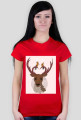 My deer