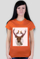 My deer