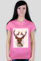 My deer