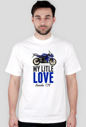 YAMAHA TZR