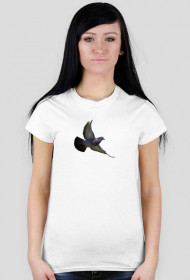 koszulka gołąb damska