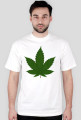 koszulka canabis