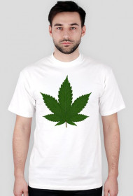 koszulka canabis