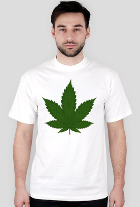 koszulka canabis