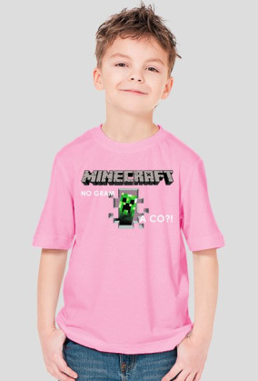 Minecraftv1