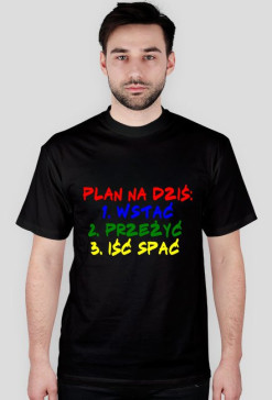 Plan Dnia