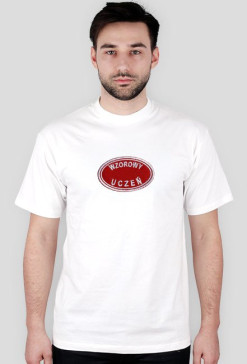 Wzorowy uczeń