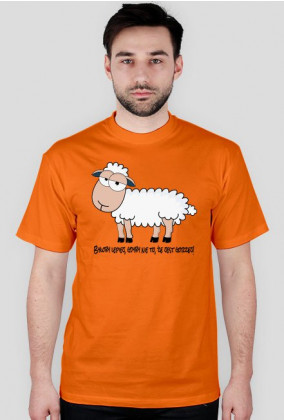 Owca pesymista - koszulka