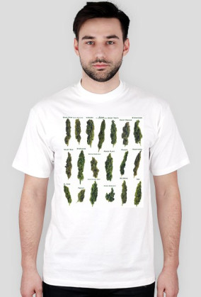 Weed