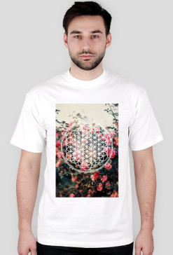 BMTH SEMPITERNAL