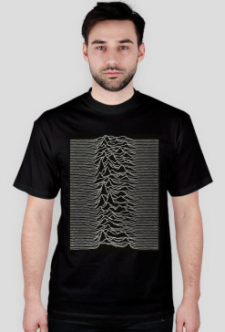 JOY DIVISION 2