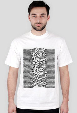 JOY DIVISION 3