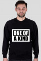 Bluza męska ONE OF A KIND