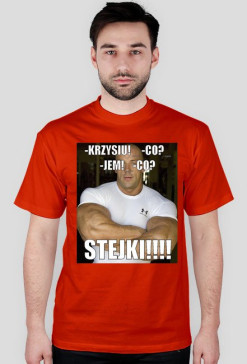STEJKI