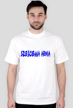 Sześcienna armia