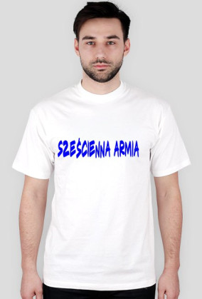 Sześcienna armia