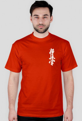 Koszulka Kyokushin