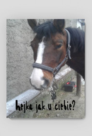 Podkładka pod mysz - koń huculski