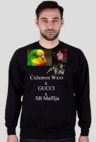 Coleman Wear x GUCCI x SB Maffija - Bluza wiosna 2015