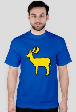 Daniel Blue-Yellow