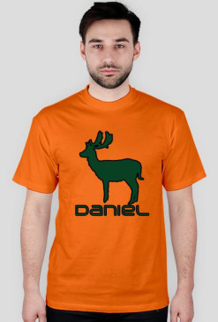 Daniel 2 Orange-Green