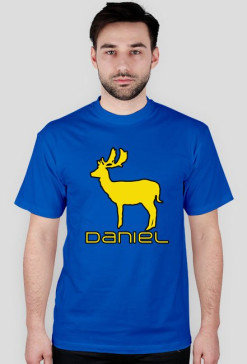Daniel 2 Blue-Yellow