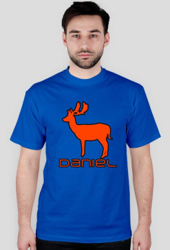 Daniel 2 Blue-Orange
