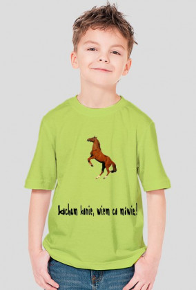 Bluzka krótki rękaw - kocham konie :)