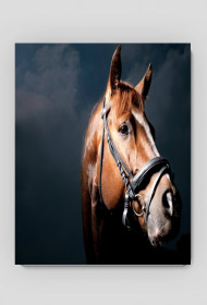 Podkładka pod mysz - Kasztanowy koń