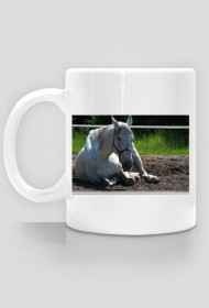 Kubek - sweet horses