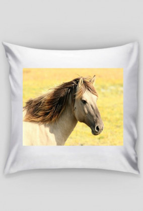 Poszewka na poduszkę - konik polski