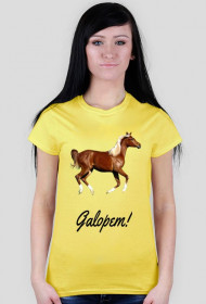 Bluzka krótki rękaw - Galopem