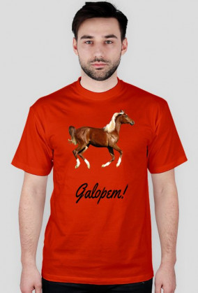 Bluzka krótki rękaw - Galopem