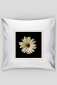 FLOWER - poduszka